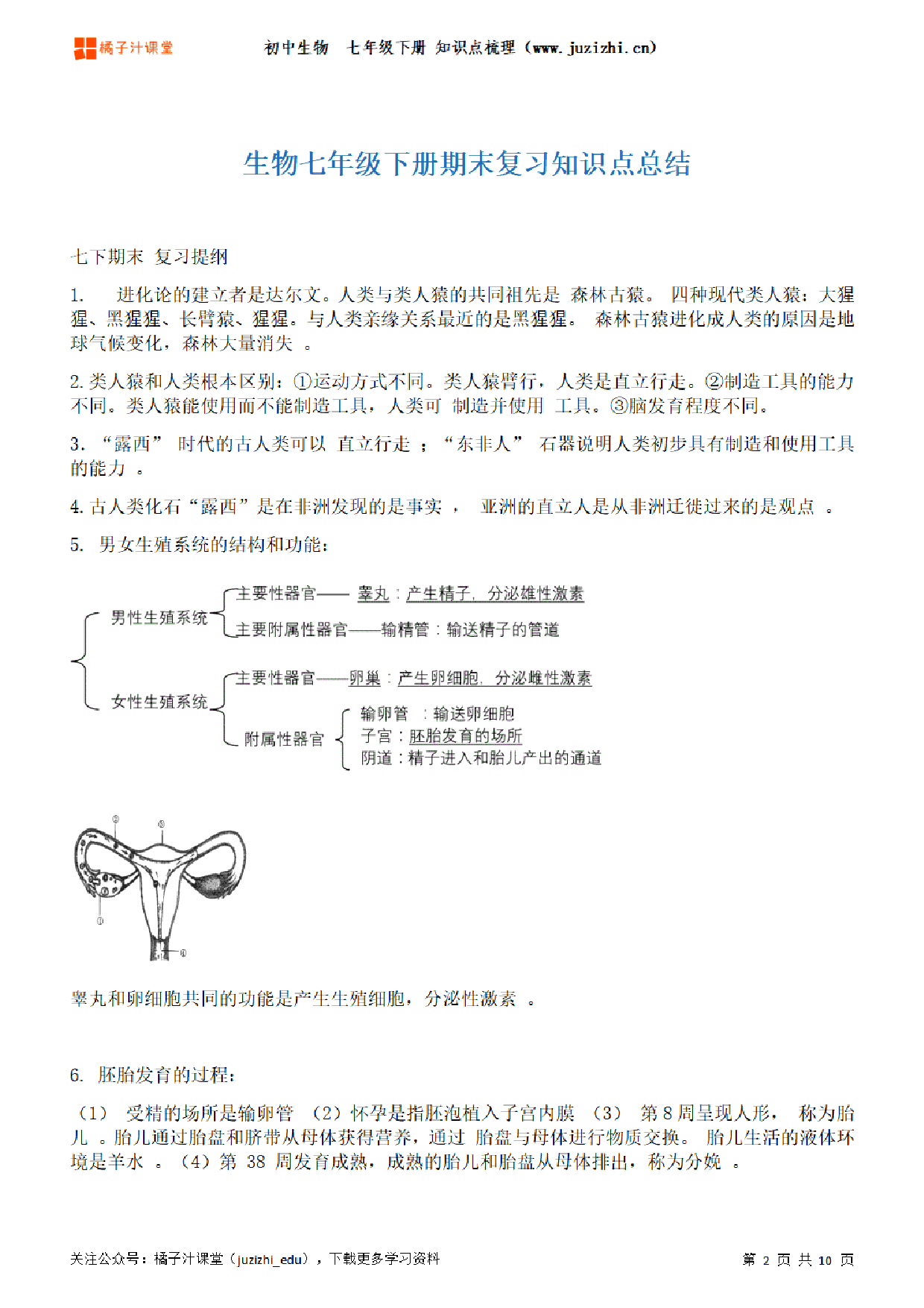 初中生物七年级下册期末知识点梳理