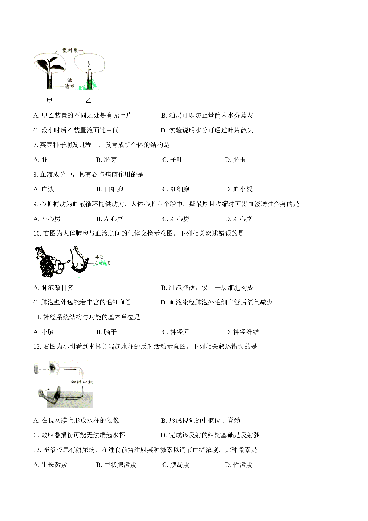 2020年北京市初中学业水平考试生物试卷