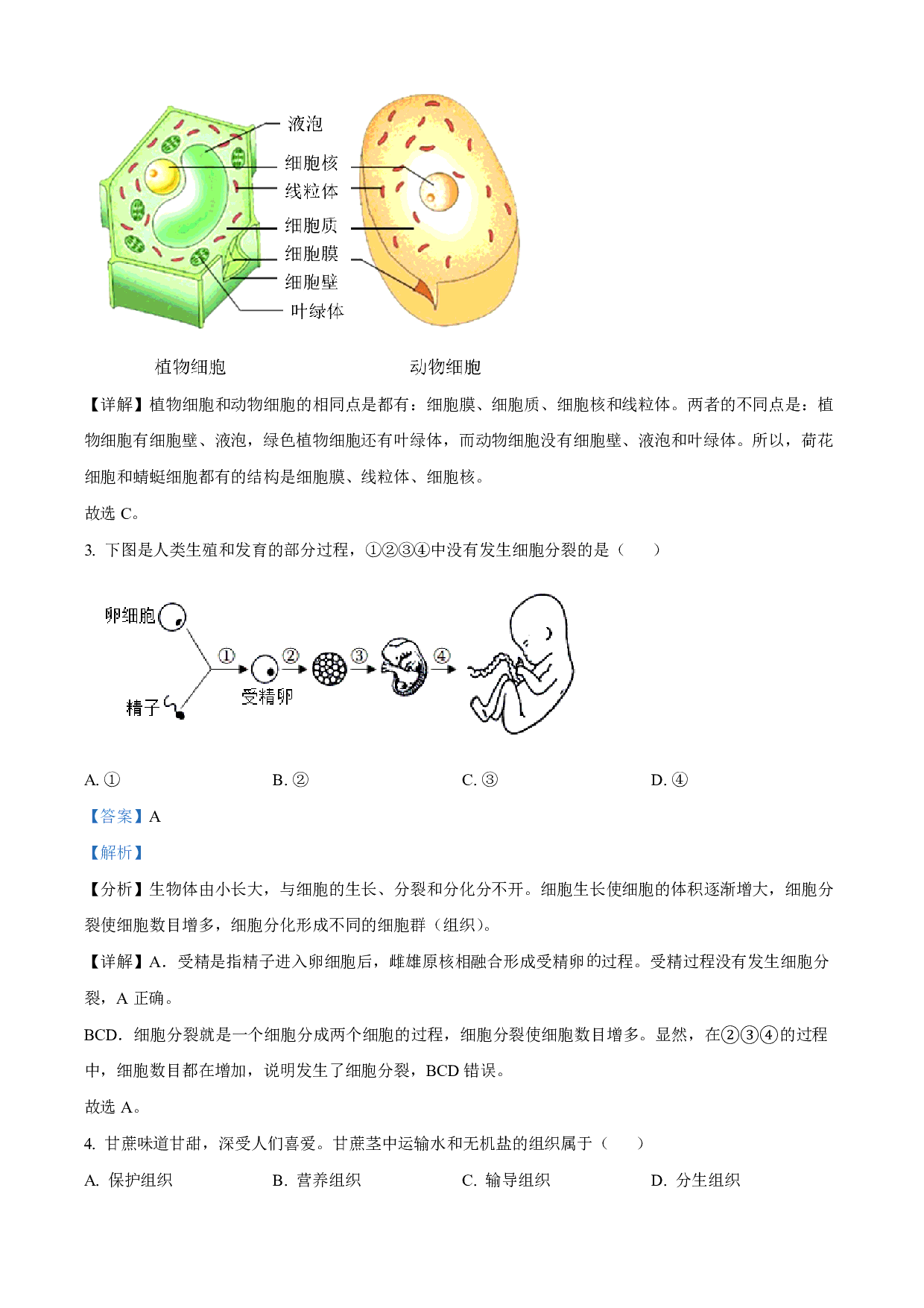 2022年四川省成都市中考生物真题