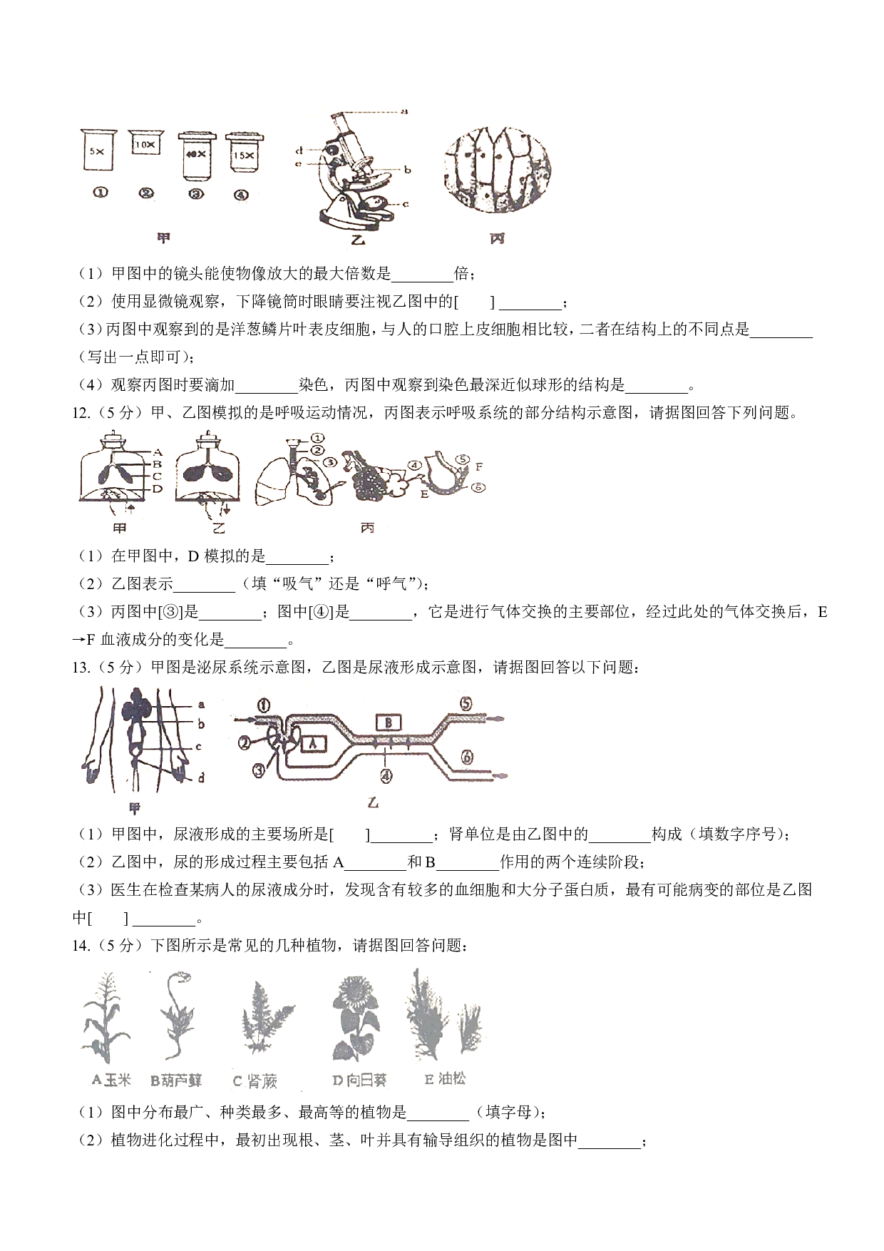 2022年辽宁省本溪市中考生物真题